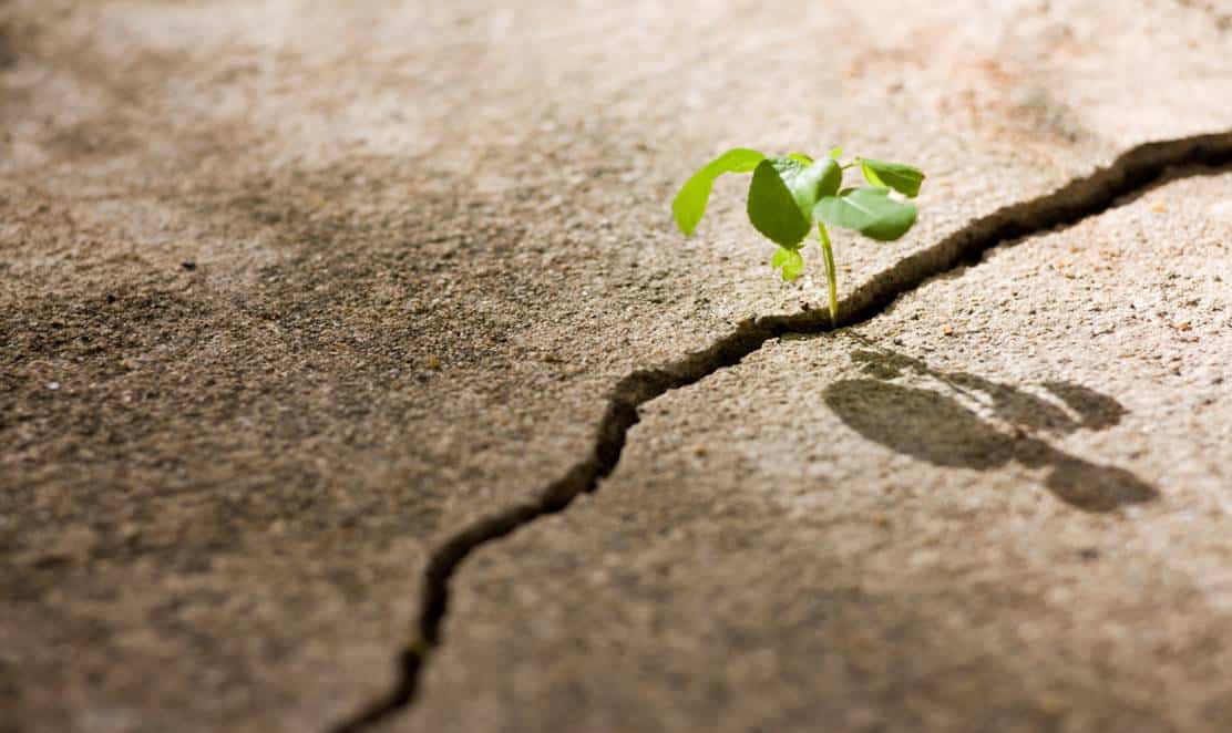 Concrete Shrinkage And Cracking: What You Need To Know